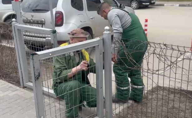 Собакам - свобода, холлу - красота, паркингу - терпение. Движемся дальше 