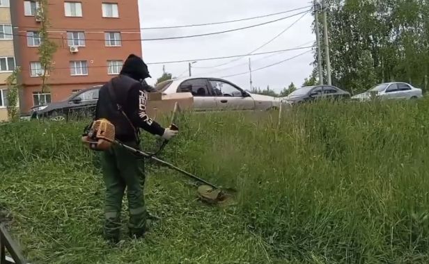 На Шереметьевской, 6к2 без джунглей