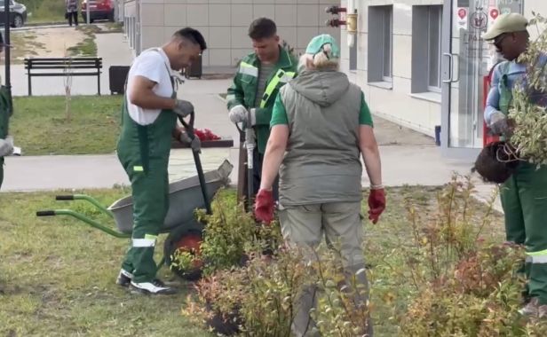 В ЖК «Гранд Комфорт» стало зеленее!