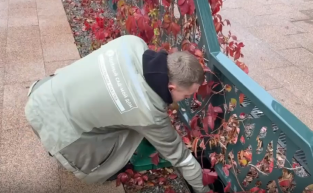 Полив "в спячке"