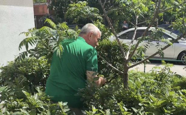 Олег Гуськов: Свой участок не доверяю никому. Даже профессиональным садовникам