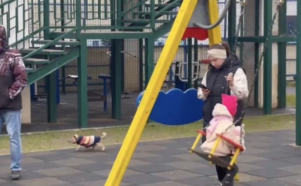 Акт осмотра детской площадки в ЖК “Гранд Комфорт” на Васильевской улице 