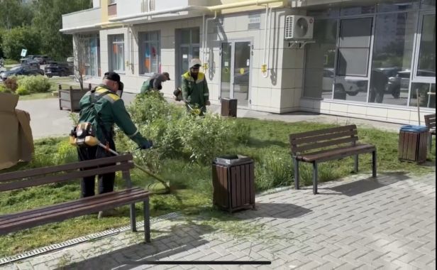 В ЖК «Гранд Комфорт» на Васильевской улице стартовали сезонные работы по благоустройству территории. 