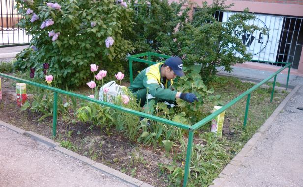 Цветники и газоны во дворе на ул. Пушкина, 27 готовятся к лету